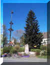 Der 17 m hohe Maibaum der Gemeinde Schwifting steht