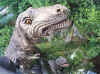 Plohn Tyrannus rex Saurier